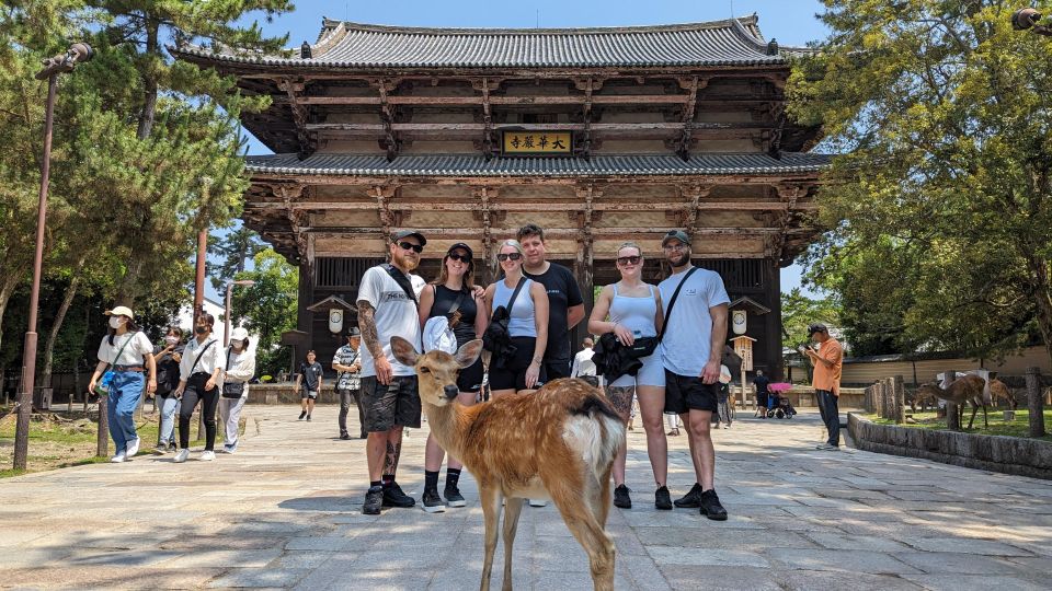 E-Bike Nara Highlights - Todaiji, Knives, Deer, Shrine - The Sum Up