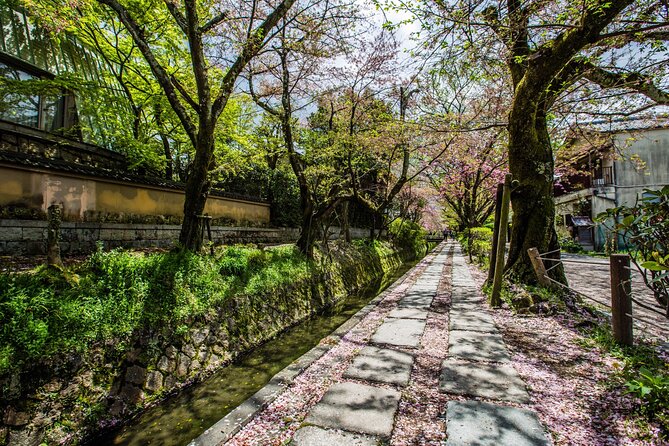 Early Bird E-Biking Through East Kyoto - Guide Experiences