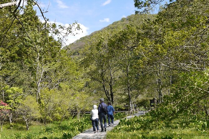 Easygoing Nature Walk in Hakone Tour - Weather Considerations