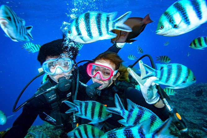 Experience Diving & Banana Boat by Boat - Booking and Pricing Details