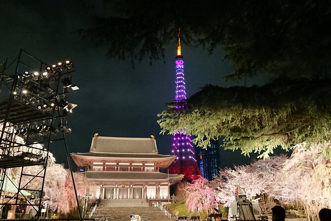 Experience Local Tokyo With National Certified Tour Guide - Transportation and Activity Details