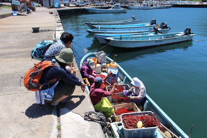 Explore Fishermen Island in Japan(Ise-Shima) - Additional Information