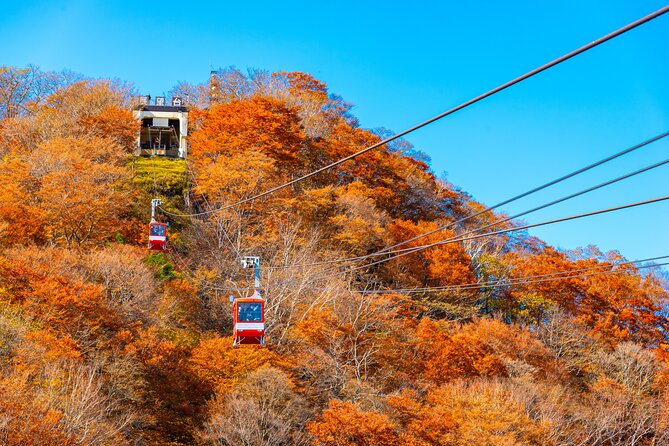 Explore the Culture and History of Nikko With This Private Tour - Transportation Details