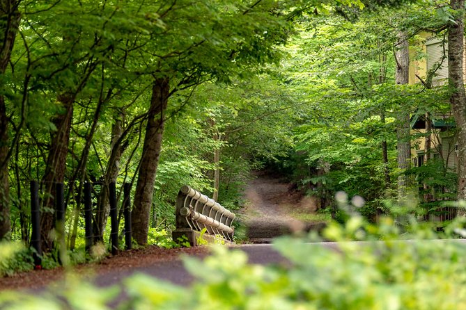 ~Exploring the Nature and Sightseeing Spots of Karuizawa~ Forest Bathing Cycling - Frequently Asked Questions