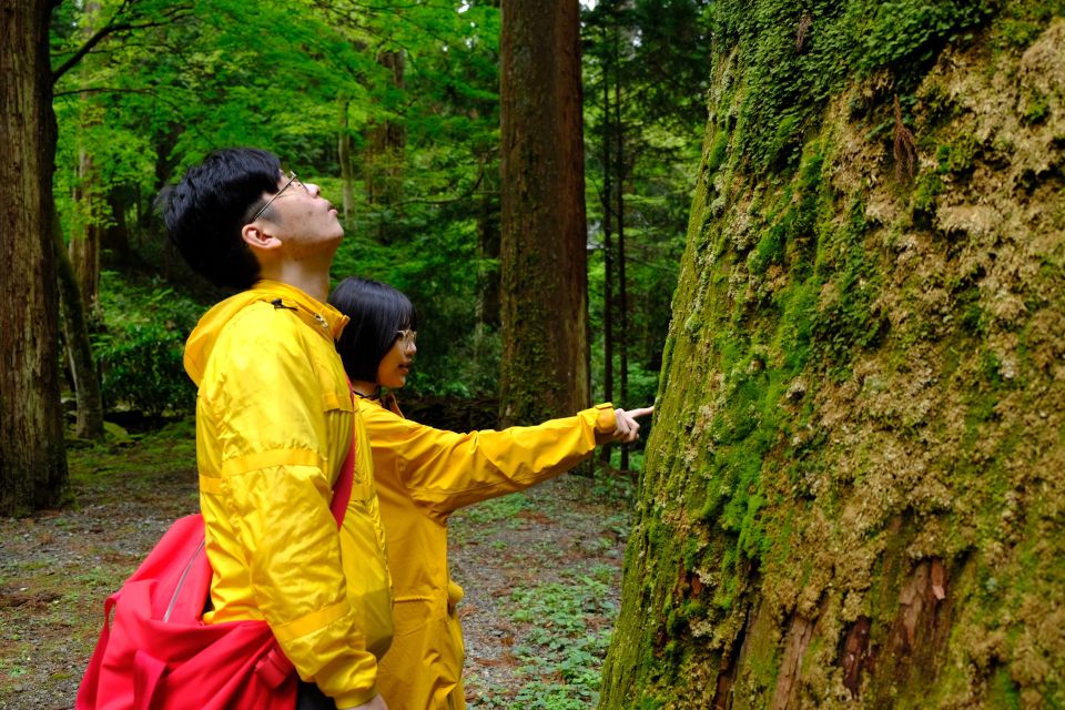 Fm Odawara: Forest Bathing and Onsen With Healing Power - Important Information