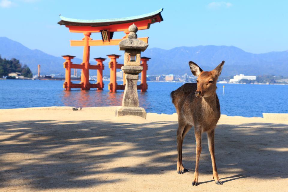 From Hiroshima: Hiroshima and Miyajima Island 1-Day Bus Tour - Conclusion