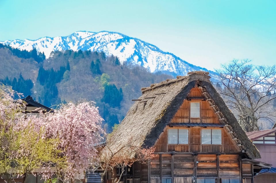 From Nagoya: Shirakawa-Go Bus Ticket With Hida Beef Lunch - Customer Reviews