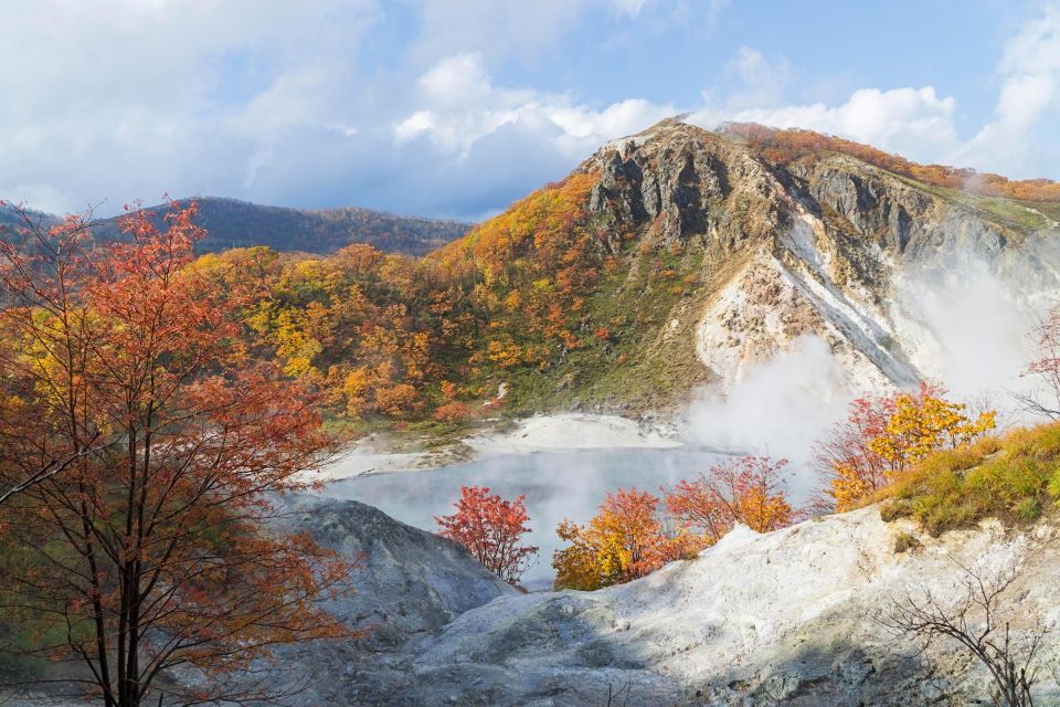 From Sapporo: 10-hour Customized Private Tour to Noboribetsu - Vehicle Options and Participants