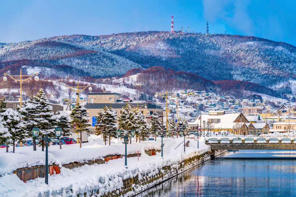From Sapporo: 10-hour Customized Private Tour to Otaru - Customization and Extendable Service