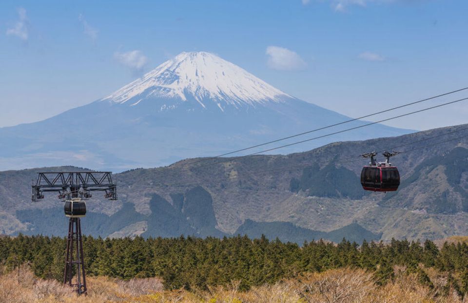 From Tokyo: Hakone and Owakudani Private Day Trip - Frequently Asked Questions