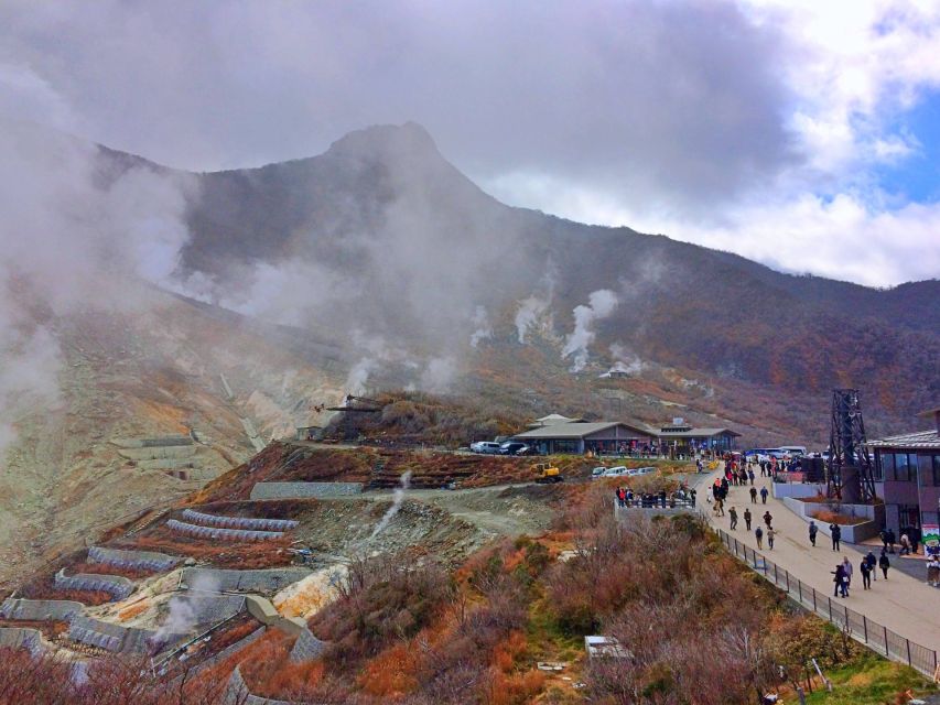 From Tokyo: Hakone, Owakudani, & Lake Kawaguchi Day Tour - Important Information