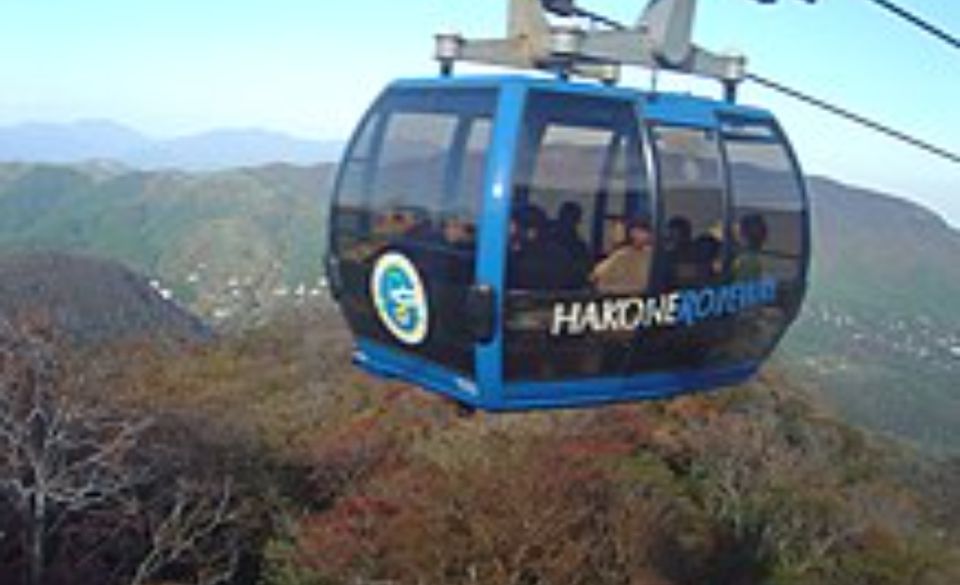 From Tokyo: Mt Fuji and Hakone Customizable Private Day Trip - Important Information