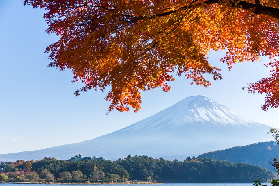 From Tokyo: Mt. Fuji or Hakone Private Sightseeing Day Trip - Important Information