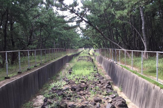 Fukuoka Nature and Cultural Sightseeing Tour - Meeting and Pickup