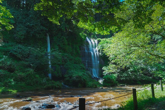 Full-Day Bus Tour on Local Area in Mt. Fuji - Important Notes