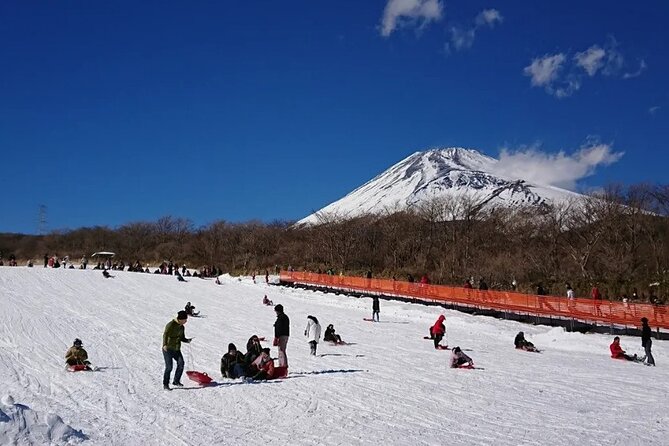 Full Day Guided Trip to Mt. Fuji and Hakone From Tokyo - Additional Information