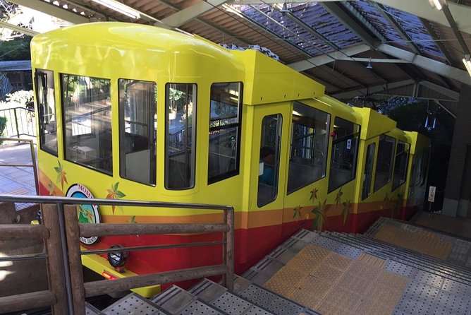 Full Day Hiking Tour at Mt.Takao Including Hot Spring - Customer Reviews