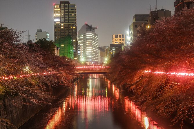 Full Day Kyoto and Nara Guided Tour - Meeting Points