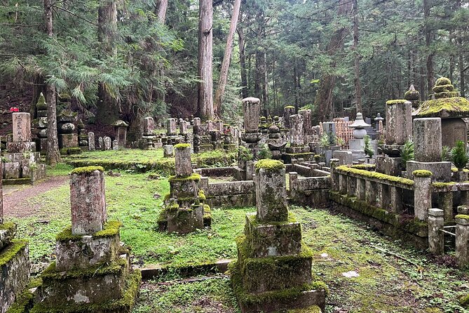 Full-Day Private Guided Tour to Mount Koya - Cancellation Policy