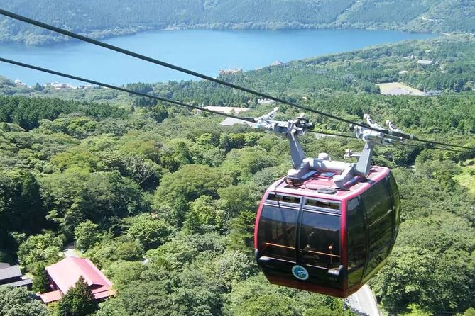 Hakone FreePass, 2-3 Days Japan - Booking and Confirmation