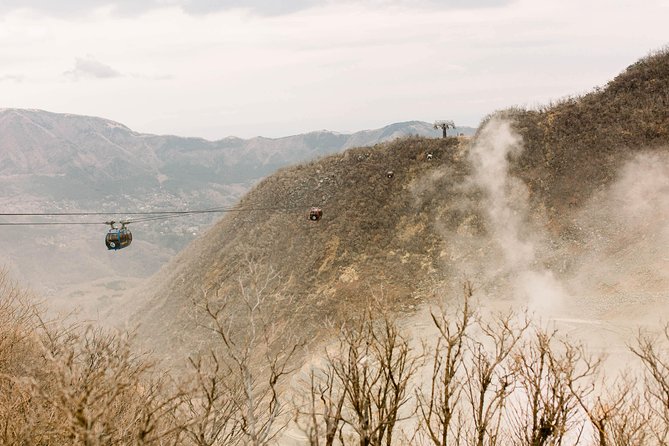 Hakone Private Two Day Tour From Tokyo With Overnight Stay in Ryokan - Additional Information