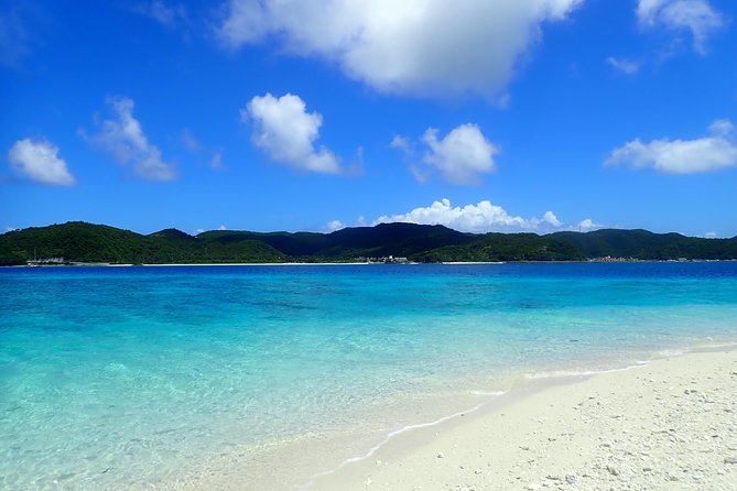 Half-Day Kayak Tour on the Kerama Islands and Zamami Island - Local Ecosystem Insights