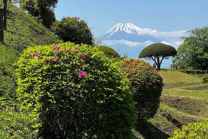 Hike Japan Heritage Hakone Hachiri With Certified Mountain Guide - Reviews