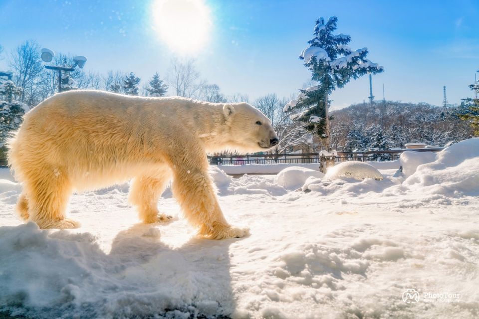 Hokkaido: Asahiyama Zoo, Furano, and Ningle Terrace Tour - Directions