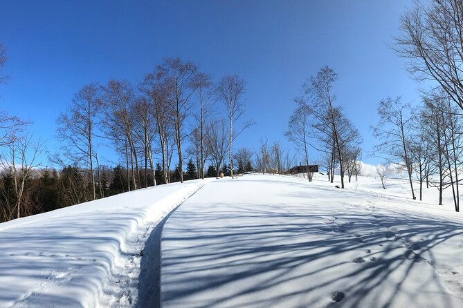 Hokkaido Nature and Gourmet Experience Near Lake Toya - Additional Information