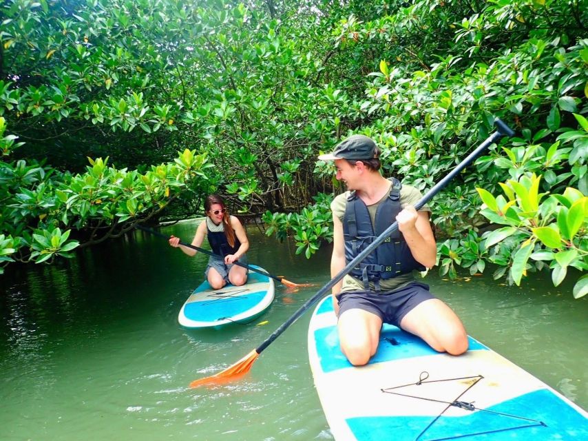 Ishigaki Island: 2-Hour Miyara River Kayaking Tour - Customer Reviews