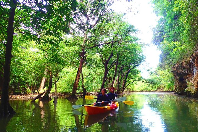 [Ishigaki]Mangrove SUP/Canoe + Blue Cave Snorkeling - Weather Considerations