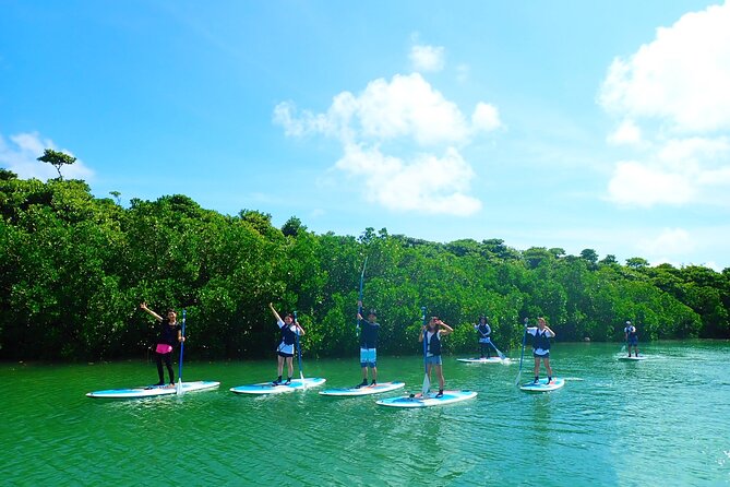 [Ishigaki]Mangrove SUP/Canoe Tour - Weather Considerations