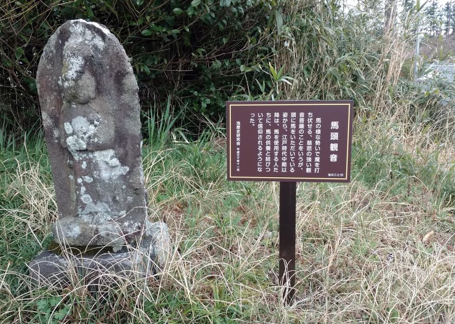 Izu Peninsula: Ike Village Experience - Meeting Point & Directions