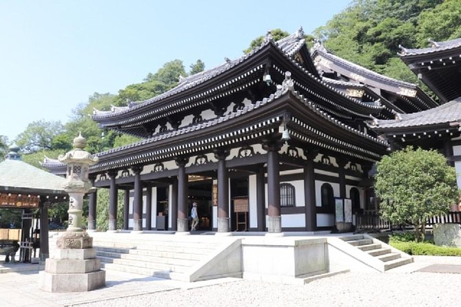 Kamakura Bamboo Forest and Great Buddha Private Tour - Additional Info