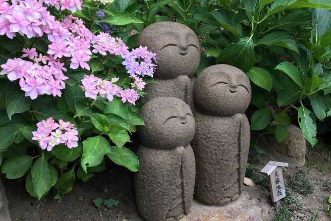 Kamakura Flower Tour - Tips for an Enjoyable Tour