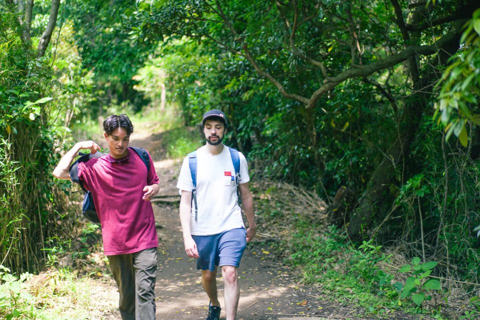 Kamakura Historical Hiking Tour With the Great Buddha - Itinerary Details