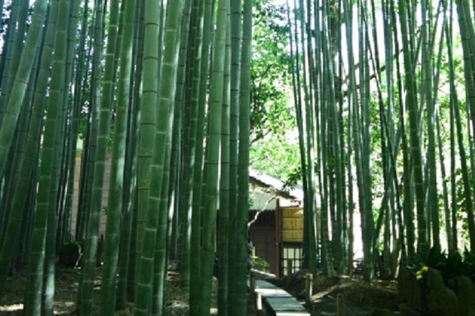 Kamakura Private Tour by Public Transportation - Booking Information