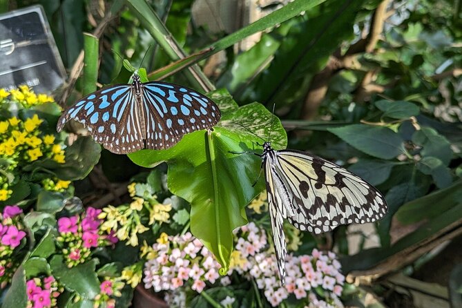 Kanazawa Temples Panoramic Landscape Views and Butterflies - Directions and Itinerary