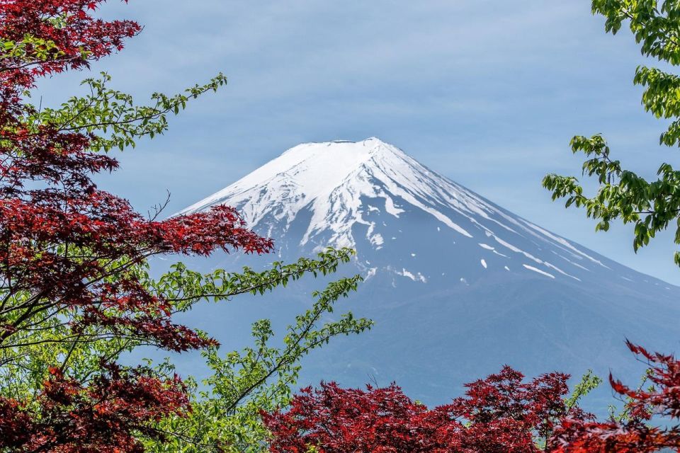 Kanto 10-Hour Chartered Day Trip｜Mt. Fuji Day Trip - Customer Reviews