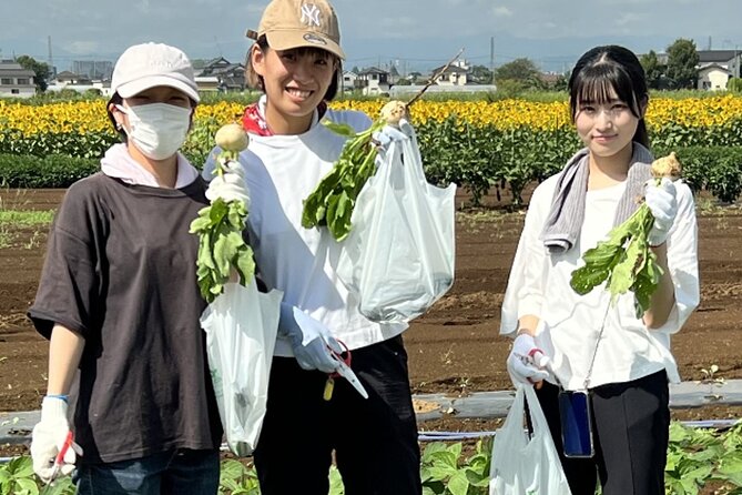 Kawagoe Sightseeing and Experience Tour to Harvest Local Foods - Cultural Immersion