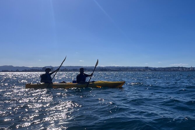 Kayak and Picnic Adventure in Sakurajima - Frequently Asked Questions