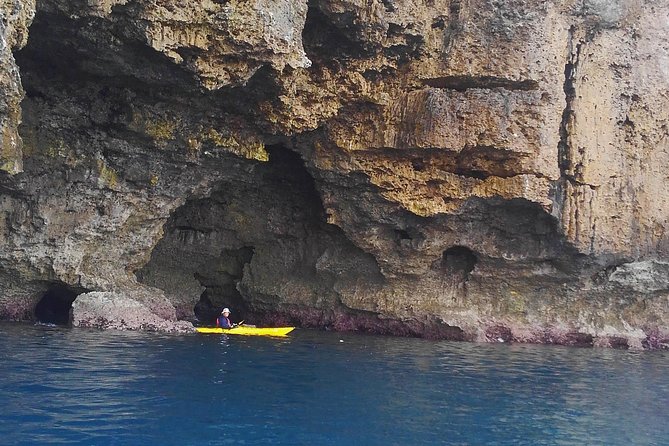 Kayak Mangroves or Coral Reef: Private Tour in North Okinawa - Safety Guidelines