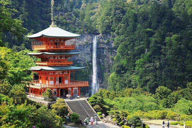 Kumano Kodo Pilgrimage Full-Day Private Trip With Government Licensed Guide - Reviews and Ratings