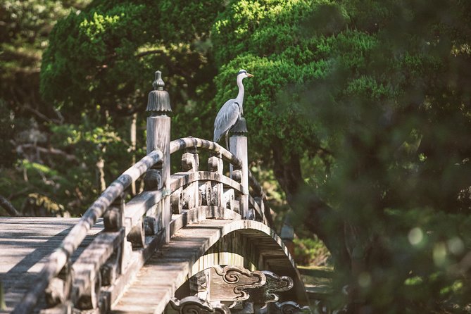 Kyoto and Nara 1 Day Trip - Golden Pavilion and Todai-Ji Temple From Kyoto - Customer Experiences