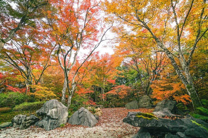 Kyoto Arashiyama Bamboo Forest & Garden Half-Day Walking Tour - Pricing and Booking Details