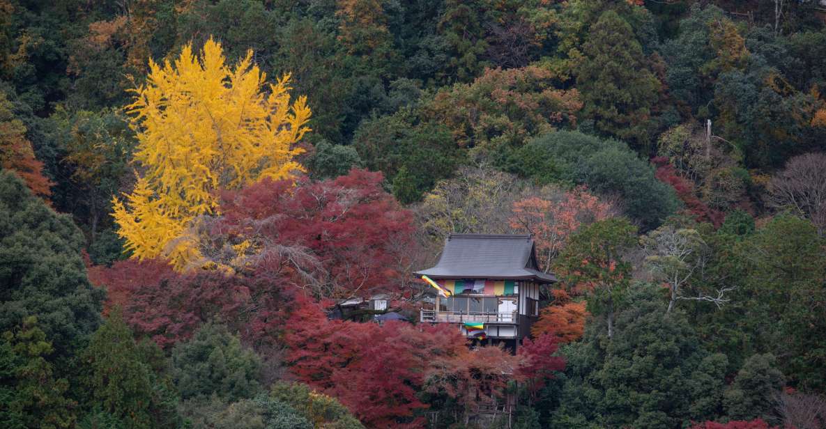 Kyoto: Arashiyama Forest Trek With Authentic Zen Experience - Detailed Itinerary