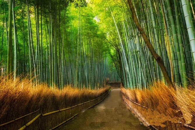 Kyoto Arashiyama Sanzen In Temple Day Tour - Accessibility and Health Requirements