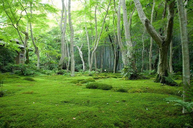 Kyoto Bamboo Forest Electric Bike Tour - Directions