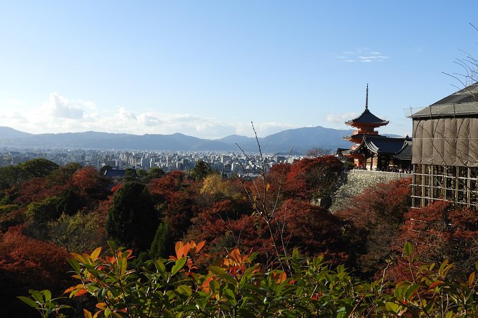 Kyoto Full Day (8 Hours) Sightseeing Privatetour - Operator Information and Cancellation Policy