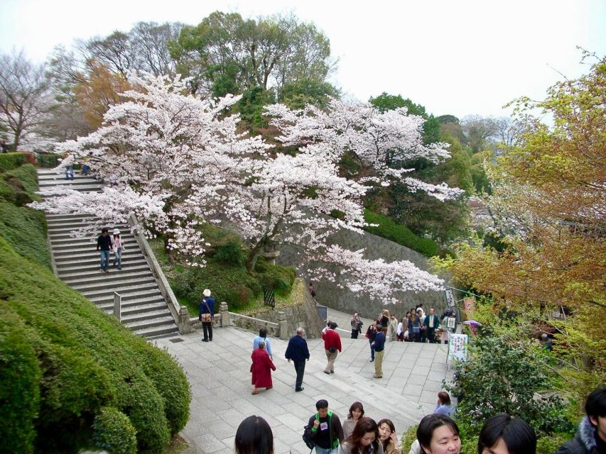 Kyoto: Higashiyama, Kiyomizudera and Yasaka Discovery Tour - Restrictions